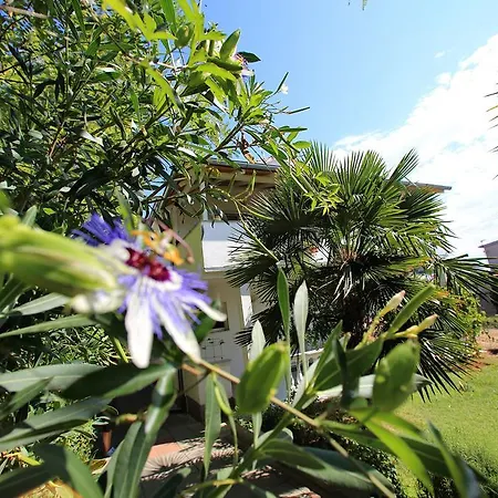 Nicol Guest house 3*