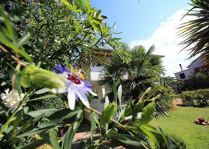 Nicol ゲストハウス 3*